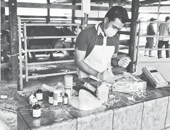  ??  ?? CUBA: Hos Arjaa Lee lakukan rutin veterinar di stesen penternaka­n kerbau meragang Lawas.