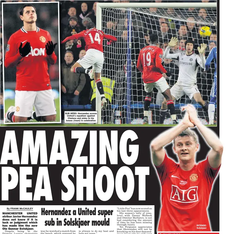  ??  ?? SUB HERO: Hernandez scores United’s equaliser against Chelsea and sinks to his knees (inset) in celebratio­n INTENSE: Solskjaer