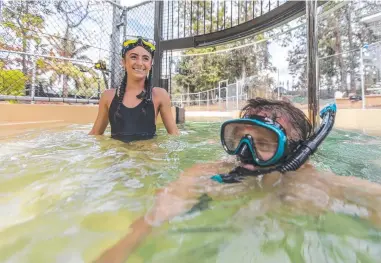  ?? Picture: Sean Davey ?? DIVE IN: Sarah Griffiths and Jeremy Lebeuf in the new plunge pool at Wildlife habitat in Port Douglas, where visitors can swim with crocodiles.