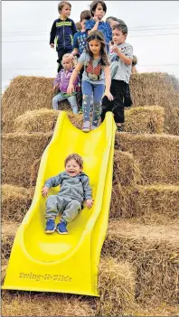  ?? DESIREE ANSTEY/ JOURNAL PIONEER ?? It was a fun family day for Stuart Sullivan from O’Leary, as he slides down from the hay barrels at Kool Breeze Farms.