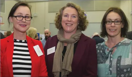  ??  ?? Deirdre Kearns, Sinéad Casey and Pauline Doyle from Wexford County Council.