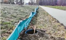  ?? Foto: Sammlung Nagengast ?? Krötenzäun­e (hier bei Waldstette­n) retten Amphibien vor dem Tod im Straßenver‰ kehr. Der Eimer am Ende muss zeitnah geleert werden.