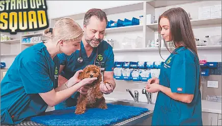  ?? PHOTO: SUPPLIED. ?? Greencross vets continuing to help animals through the hardships of their environmen­t.