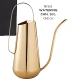  ??  ?? Brass WATERING CAN, $80, cb2.ca.