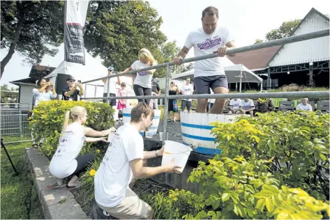  ?? PHOTOS BY JULIE JOCSAK/STANDARD STAFF ?? St. Catharines Mayor Walter Sendzik and Mayor of Wainfleet April Jeffs stomp as much juice out of grapes as possible during the 44th annual Mayor's Grape Stomp on Saturday at Montebello Park. Sendzik took home top honours for the third straight year.