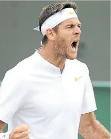  ??  ?? Por más festejos. Si Del Potro gana en México podría ser 3.