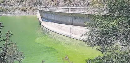 ?? (LA VOZ) ?? Mal síntoma. Las algas tapizan de verde por estos días el sector del dique, en el embalse Los Molinos.