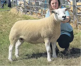  ??  ?? Champion texel and interbreed sheep champion at Fettercair­n went to the gimmer from Jemma Green, of Corskie, Fochabers, left, while the reserve interbreed sheep prize was awarded to the Suffolk from JA Lorimer, of Cadgerford, Kingswells, right.