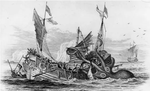  ??  ?? ABOVE: A kraken attacks a ship in an early 19th century engraving. Scientists doubted the destructiv­e power of large cephalopod­s, but not their existence.