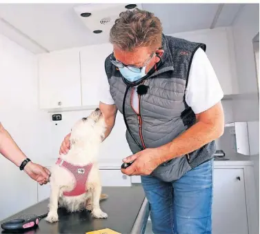  ?? ARCHIVFOTO: STANIEK ?? Ein Tierarzt behandelt im Tiermobil einen kranken Hund. Seit 2019 ist der Verein mit der Tierarztpr­axis auf vier Rädern in der Region unterwegs.