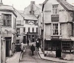  ??  ?? Annings ”Fossil Depot” i Lyme Regis, som det såg ut 1895.