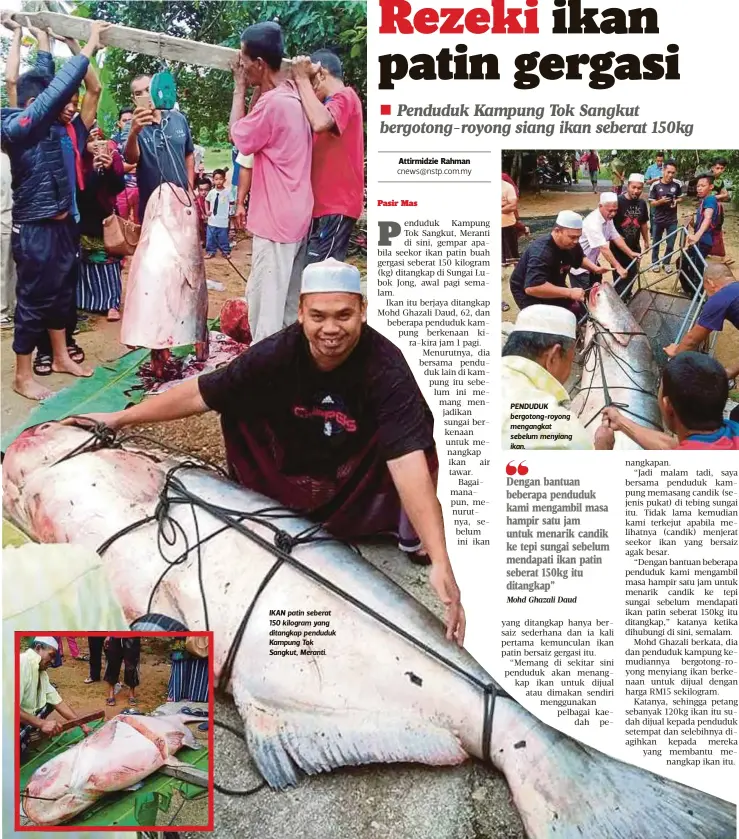  ??  ?? IKAN patin seberat 150 kilogram yang ditangkap penduduk Kampung Tok Sangkut, Meranti. PENDUDUK bergotong-royong mengangkat sebelum menyiang ikan.