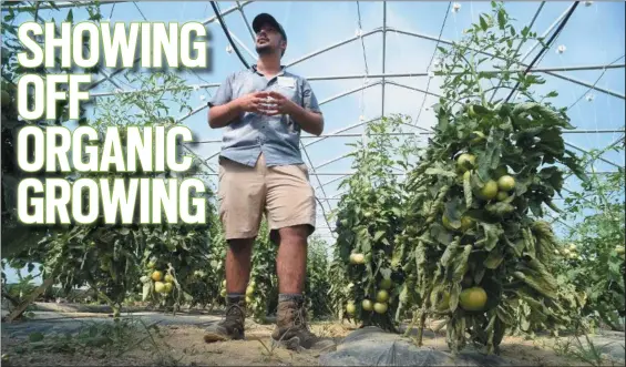  ?? BILL UHRICH — MEDIANEWS GROUP ?? Assistant farm manager Daniel Kemper discusses high tunnel grafted tomatoes during the Rodale Institute’s Field day in Maxatawny Township. Displays emphasized organic growing for the health of humans and the planet.