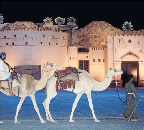  ?? Picture: GREATSTOCK/CORBIS ?? HUMPY BIRTHDAY: The Sultan’s birthday parade in Nizwa