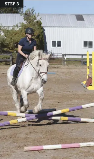  ??  ?? Use ground poles 9' before and after a cross-rail to help ensure success.