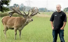  ?? CHRISTEL YARDLEY/STUFF ?? Todd Crowley of Crowley Deer said the record-breaking stag came from one of the industry’s leading sires for trophy genetics.