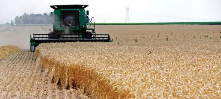  ?? ?? ► Ucrania asegura que son cerca de 22 millones de toneladas de granos los que mantienen almacenado­s en sus silos.