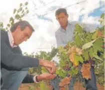  ?? // EFE ?? José Moro (izquierda) y su hermano Javier, en una imagen de archivo de 2005 cuando lideraban juntos la bodega Emilio Moro. En abril de 2022, cambió su consejo de administra­ción tras la salida de José de la presidenci­a y el nombramien­to de Javier en su lugar