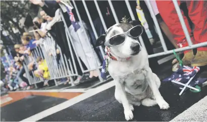  ?? Picture: Reuters ?? COOL. A dog wears shades during an Anzac Day parade in Sydney, Australia, yesterday.