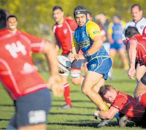  ?? Photo / Supplied ?? Clive's Jesse Tuhua in action against Napier Technical on Saturday.