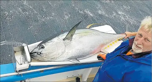  ?? Picture: CAPMARINE ?? INTERNATIO­NAL FUNDING: Gary Breedt measures a yellowfin tuna as part of a research project to monitor the global health of tuna population­s