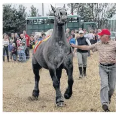  ??  ?? Les propriétai­res des chevaux du concours sont tenus de les faire défiler (copyright J. Picot, 2006).