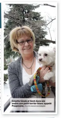  ?? PHOTO HUGO DUCHAINE ?? Ginette Sénécal tient dans ses mains son petit terrier blanc appelé Poupoune.