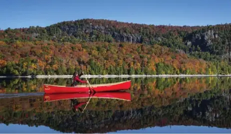  ?? GARY MCGUFFIN/WHITE PINE PICTURES ?? Joanie McGuffin glides across Montreal River in search of another painting site in the documentar­y Painted Land.