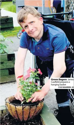  ?? 310518GARD­EN_02 ?? Green fingers James Caulfield prepares a hanging basket