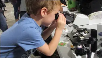  ??  ?? Ben Kudilek looks through a microscope.
