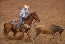  ?? NWA Democrat-Gazette/BEN GOFF @NWABENGOFF ?? Cody Heflin competes in the team roping event Friday during the third night of the 73rd annual Rodeo of the Ozarks at Parsons Stadium in Springdale. Heflin and teammate Thompson Berryhill were the only team of the night to get a clean rope, with a time of 8 seconds.