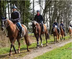  ?? Foto: Haussmann ?? Beim Reitpass müssen die Prüflinge die Kontrolle über ihr Pferd in der freien Natur unter Beweis stellen.