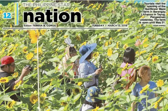  ?? CESAR RAMIREZ ?? Tourists visit the opening of the Sunflower Maze farm in Barangay Lichauco in Tayug, Pangasinan yesterday. The farm is open until May 31.