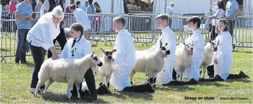  ?? Picture: Barry Goodwin ?? Sheep on show