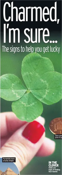  ??  ?? See a penny, pick it up... IN THE CLOVER Odds are high of finding four leaves