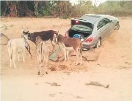  ?? Picture: Limpopo Saps ?? FOILED. The luxury vehicle which got stuck in the sand of the Limpopo River this week. The smugglers fled as police pounced.