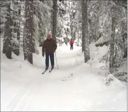  ?? TROY HUDSON/Special to The Okanagan Sunday ?? Outside lead Don Wylie cross-country skis down the revamped Jessica’s Trail at Sovereign Lake Nordic Centre north of Vernon. Last fall, GM Troy Hudson, Wylie, and kids and adults from the volunteer programs widened, brushed and cleared the 1.5K trail...