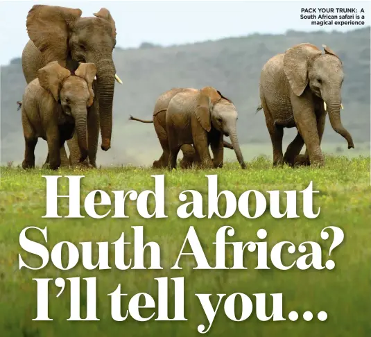  ??  ?? PACK YOUR TRUNK: A South African safari is a magical experience