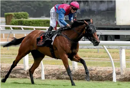  ?? PHOTO: TRISH DUNELL ?? Lizzie L’Amour became the fourth Murray Baker and Andrew Forsman-trained horse to win the Cal Isuzu since 2011.