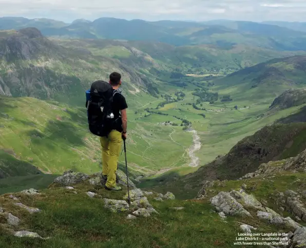  ??  ?? Looking over Langdale in the Lake District – a national park with fewer trees than Sheffield