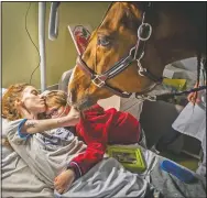  ??  ?? In this image released by World Press Photo by Jeremy Lempin for Divergence-Images, titled Doctor Peyo and Mister Hassen, which won second prize in the Contempora­ry Issues category, shows Marion, 24, who has metastatic cancer, embracing son Ethan, 7, in the presence of Peyo, a horse used in animal-assisted therapy in the Selene Palliative Care Unit at the Centre Hospitalie­r de Calais in Calais, France, on Nov. 30. (Divergence-Images/Jeremy Lempin)