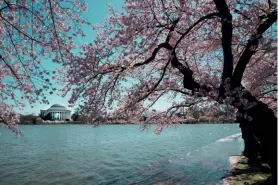  ??  ?? Above: Jefferson memorial