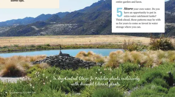  ??  ?? In dry Central Otago Jo Wakelin plants exclusivel­y with drought tolerant plants.