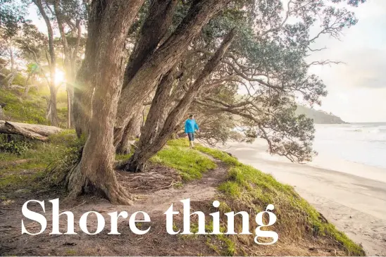  ?? Photo / bayofplent­ynz ?? Orokawa Scenic Reserve track is a banger of a walk, offering panoramic coastal views.