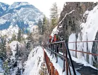  ??  ?? Auch Einsteiger können sich im Ice Park am Eiskletter­n versuchen.