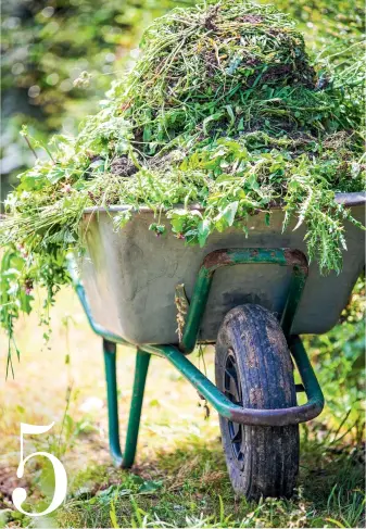  ??  ?? Designing a new garden? Avoid tight corners on access routes to your compost heap and
make your paths wide enough to navigate with a piled-high wheelbarro­wload of weeds.