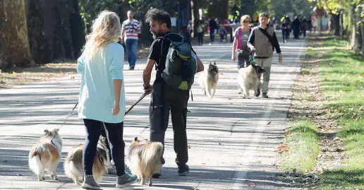  ??  ?? La polemica Da una parte chi fa sport nel parco, dall’altra la scarsa educazione di alcuni proprietar­i di animali che non usano guinzaglio e museruola. Qui sopra padroni educati (foto Radaelli)