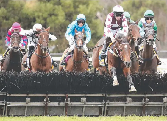  ??  ?? All-round horseman John Allen guides Renew over a hurdle on the way to winning at Warrnamboo­l yesterday. Picture: WAYNE LUDBEY
