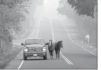  ?? AP/RICH PEDRONCELL­I ?? Pepe Tamaya leads horses Sammy (left) and Loli to safety Tuesday in Napa, Calif. The horses were let out of their pasture Sunday before the wind whipped a wildfire too fast for them to be loaded into trailers. Tamaya returned to his employers’ land...