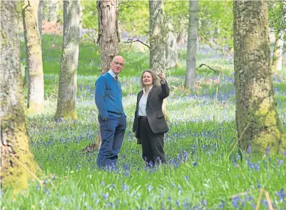  ?? Picture: Phil Hannah. ?? Special place: John Swinney and Carol Evans admire Kinclaven Bluebell Wood.